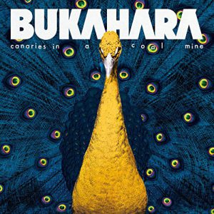 03_Bukahara-Canaries-in-a-Coalmine